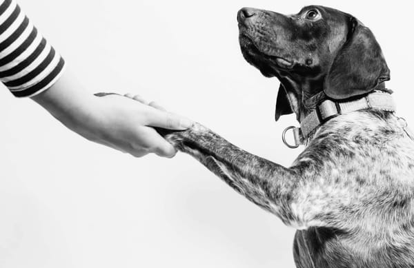 Acceptance Isn’t Weakness—It’s the Secret to Emotional Freedom.